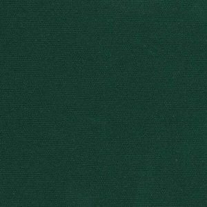 Bottle Green 19