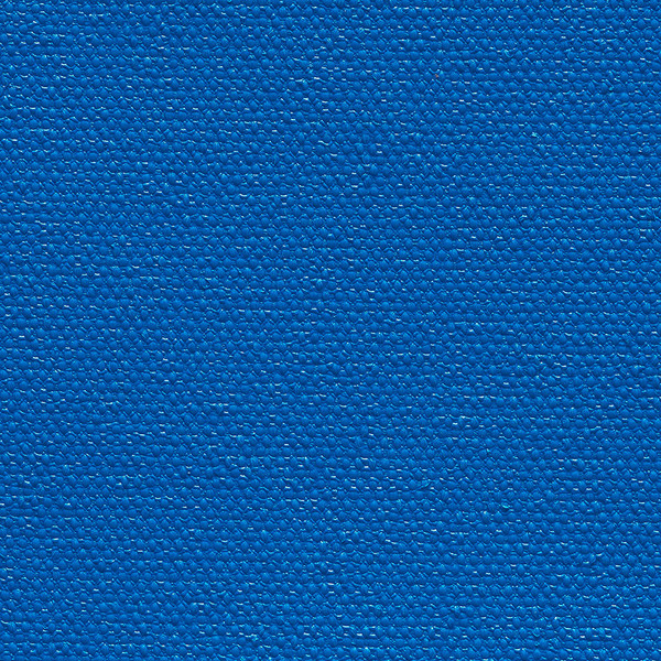 Caribbean Blue