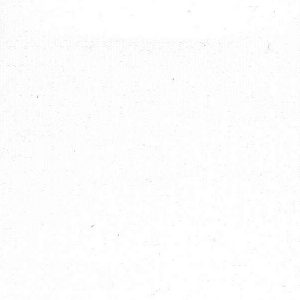 White 22
