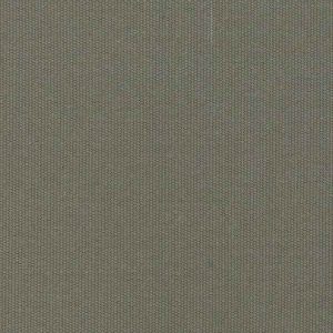 Taupe 10