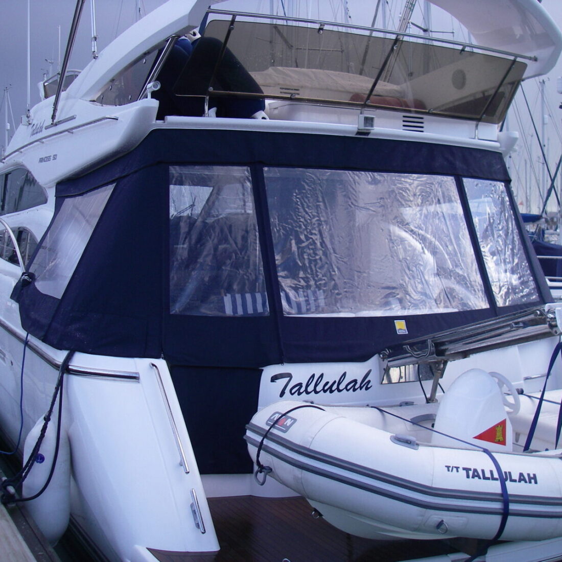 princess50image