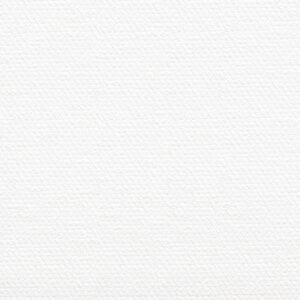 Arctic White