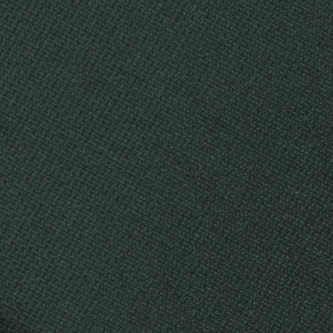 Forest Green 488