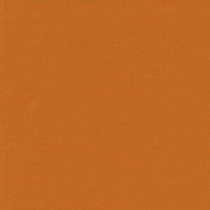 Apricot (51)