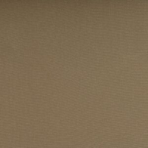 SILVERTEX BEIGE 122 1010