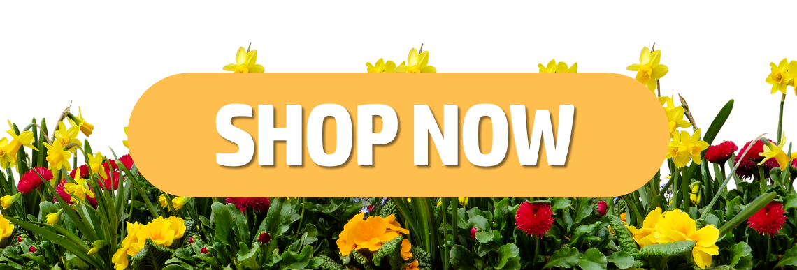 SS24 ShopNowButton